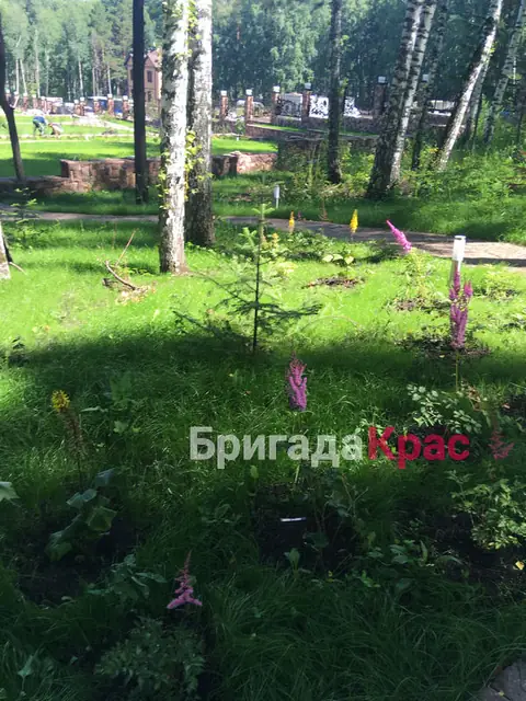 Коттедж в Кузнецово, фото 28