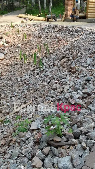 Коттедж в Кузнецово, фото 115